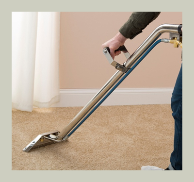 professional carpet cleaners